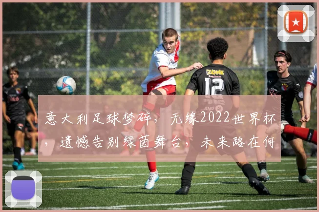 意大利足球梦碎，无缘2022世界杯，遗憾告别绿茵舞台，未来路在何方