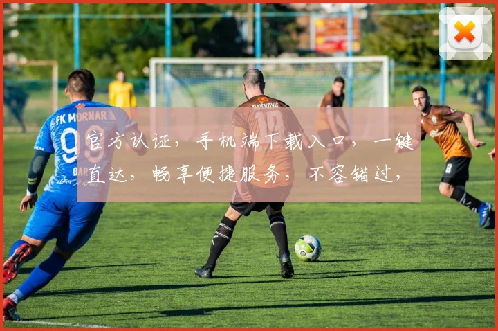 官方认证，手机端下载入口，一键直达，畅享便捷服务，不容错过，立即下载