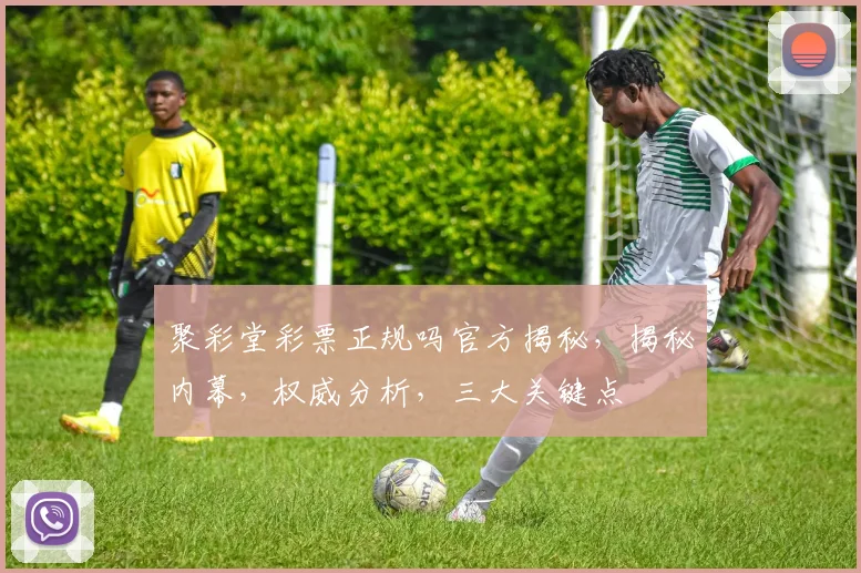 聚彩堂彩票正规吗官方揭秘，揭秘内幕，权威分析，三大关键点